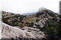 PA150272.JPG