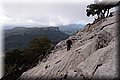 PA150273.JPG