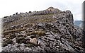 PA150285.JPG
