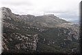 PA150321.JPG