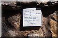 PA150369.JPG