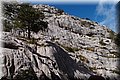 PA150374.JPG