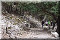 PA180425.JPG