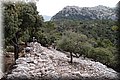 PA180432.JPG