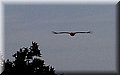 PA180440.JPG