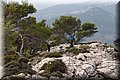 PA180445.JPG