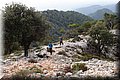 PA180448.JPG
