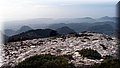 PA180451.JPG