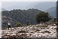 PA180455.JPG