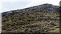 PA180462.JPG