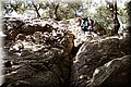 PA180479.JPG