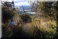 PA220592.JPG