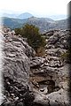 PA220631.JPG