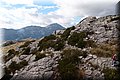 PA220634.JPG