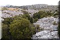 PA220636.JPG
