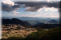 PA220639.JPG