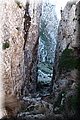 PA220650.JPG