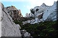 PA220655.JPG