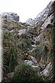 PA220661.JPG