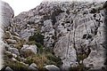 PA220664.JPG