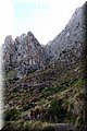 PA220671.JPG
