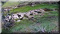 PA220678.JPG