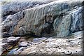 PA220704.JPG