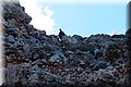 PA220726.JPG