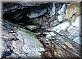 PA220732.JPG