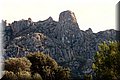 PA220769.JPG