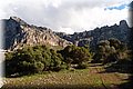 PA220770.JPG