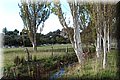PA220778.JPG