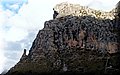 PA220782.JPG