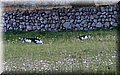 PA220785.JPG