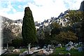 PA220788.JPG