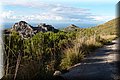 PA220802.JPG