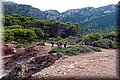 PA250819.JPG