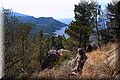 PA250857.JPG