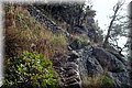 PA250871.JPG