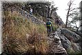 PA250877.JPG