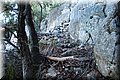 PA291043.JPG