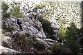 PB051237.JPG
