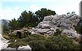 PB051240.JPG