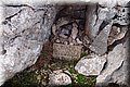 PB051243.JPG