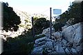 PB051287.JPG