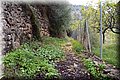PB121566.JPG