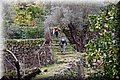 PB121570.JPG