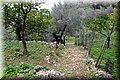 PB121571.JPG