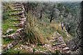 PB121574.JPG
