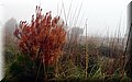 PB121625.JPG